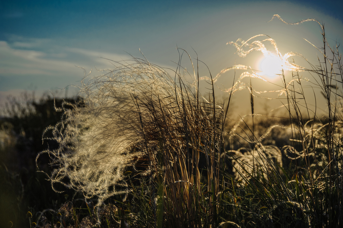 Світлові галюцинації