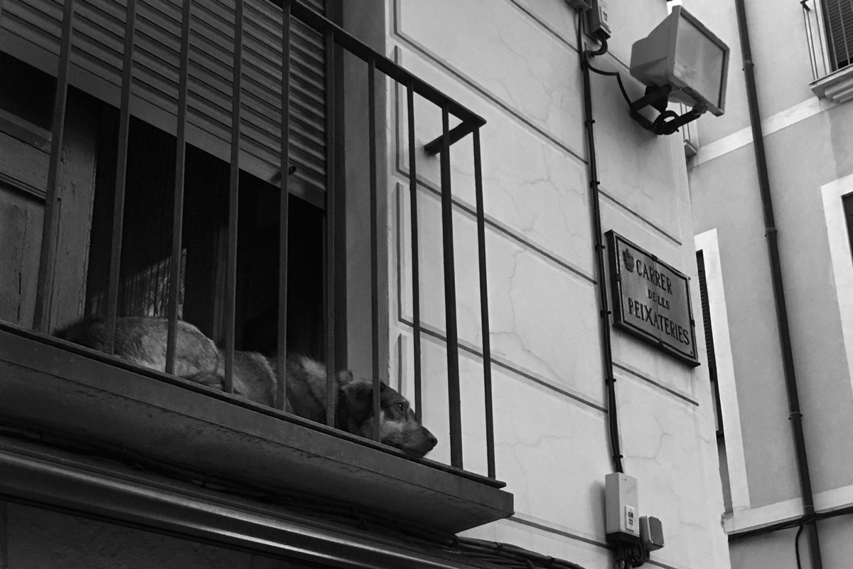 Обеденные раздумия...