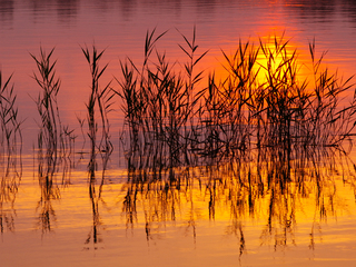 Золотий схід сонця