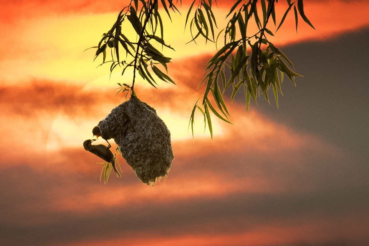 Home in the morning sun