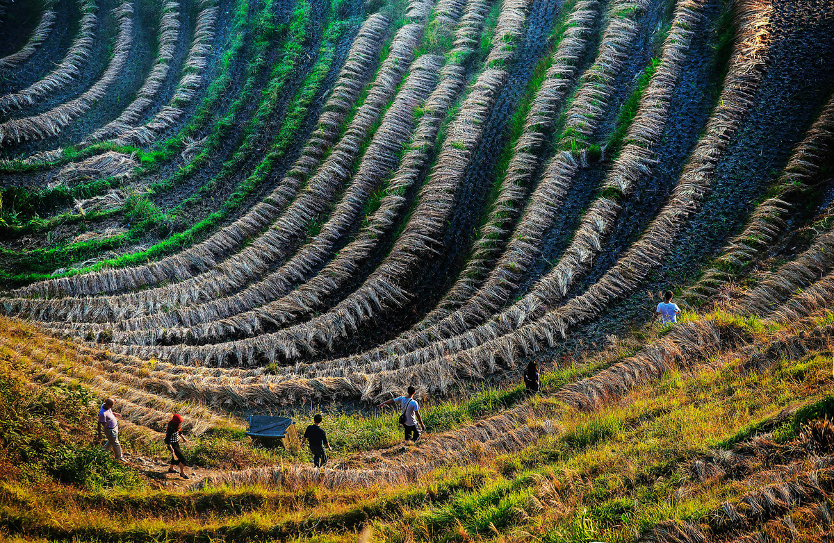 I walk through the ridges