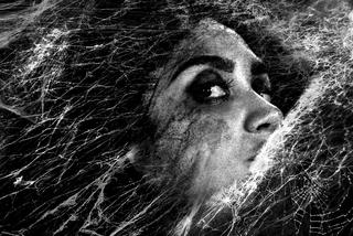 Latrodectus mactans (черная вдова)