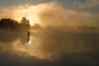 В обіймах туману