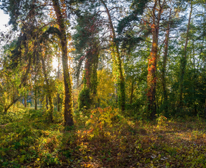 Заблукали промені