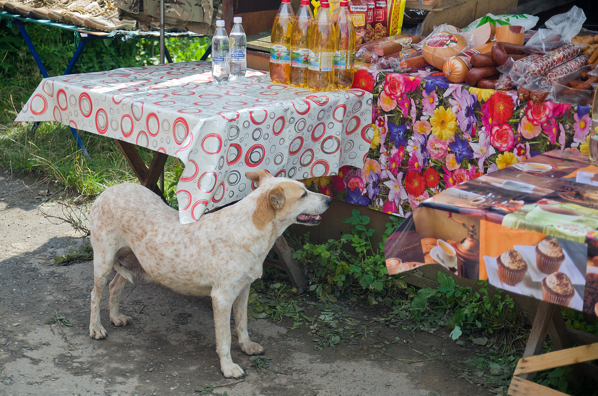 VIP ПОКУПЕЦЬ