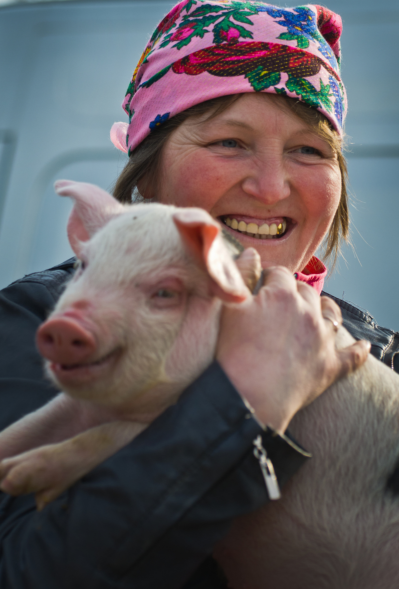 РОЖЕВОЩОКИ