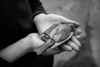 Последний полёт