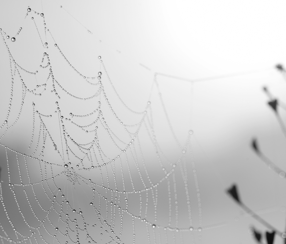 Піймав краплі