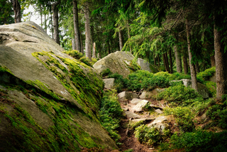 Писаний камінь