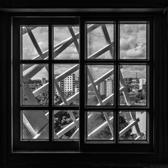 Through the Windmill Window