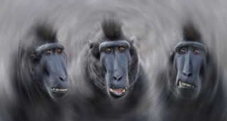 Nee Ja Wat for Alt Re