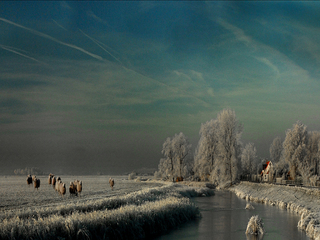 Het grote gat met schapen