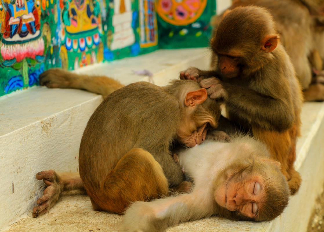 кожний робить свою роботу