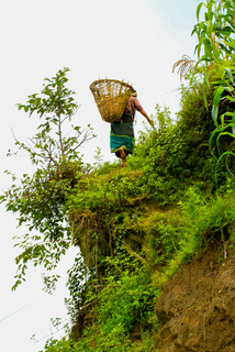 гірською стежинкою