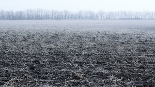 Передчуття зими