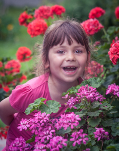 Поміж гераней