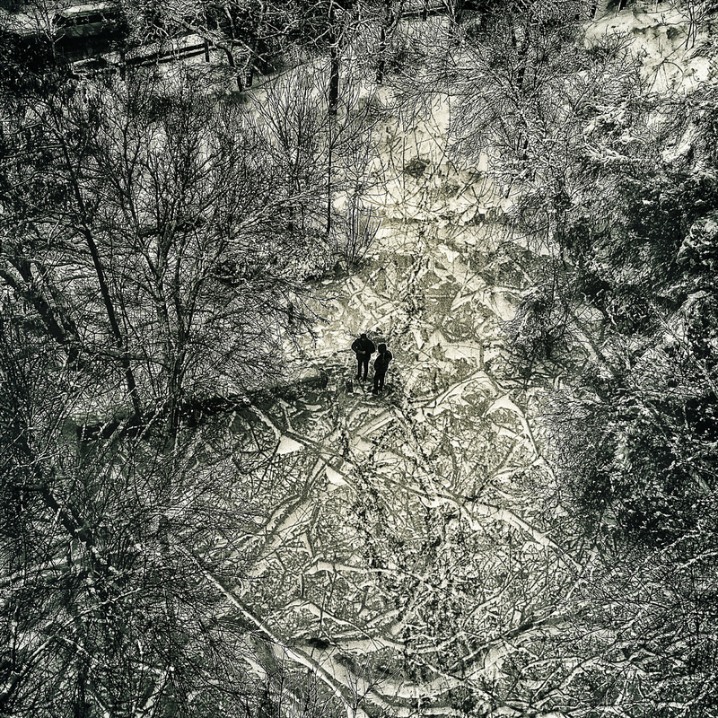 Линии судьбы