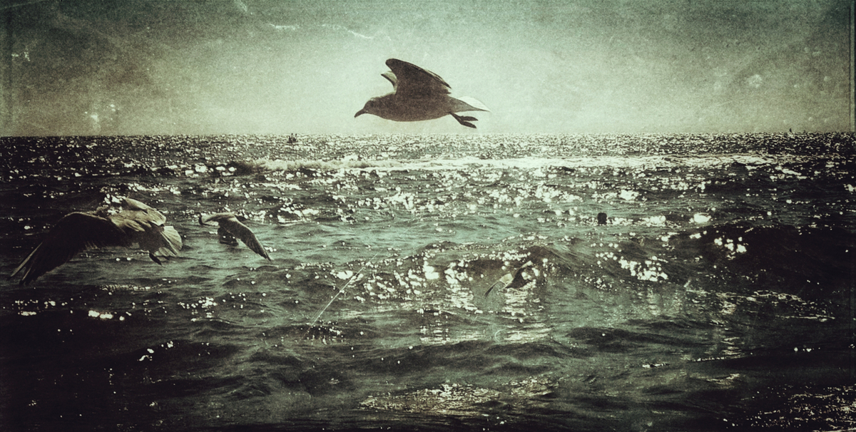 Водная стихия