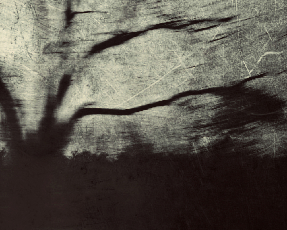 Пейзажная история