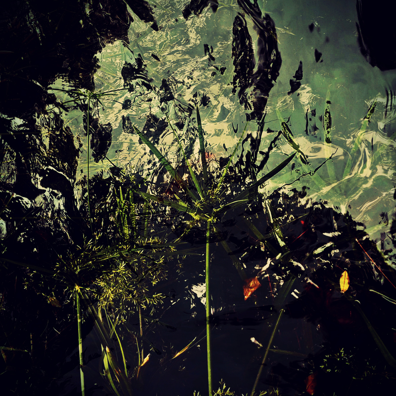 Состояния природы_2