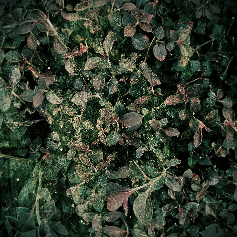 Состояния природы_3