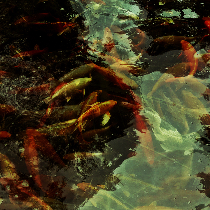 Состояния природы_4