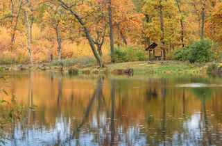Яркая осень