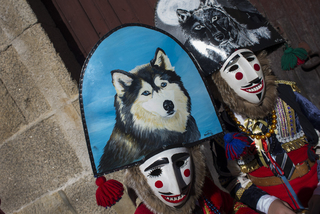 CARNIVAL OF THE FELOS