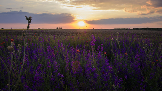 The last minutes of sunlight