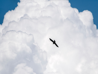 The clouds are not easy