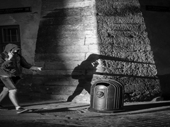 Conversation with the shadow