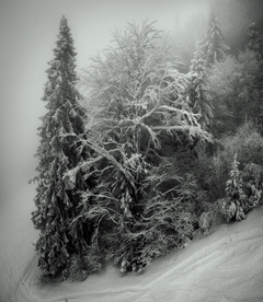 Ностальгія