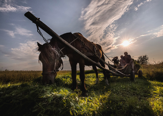 У полі вечірньому