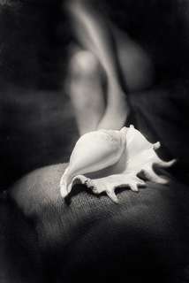 Пристрасті в жанрі nature morte