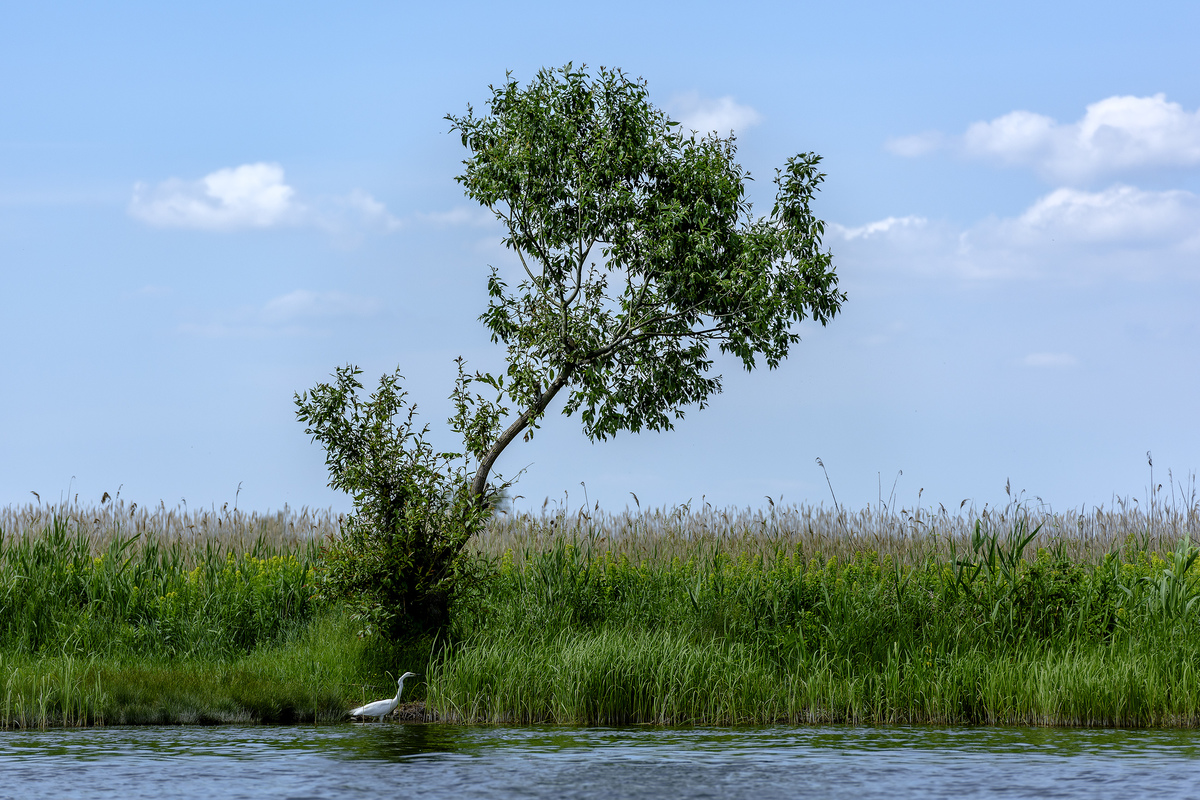 В одном направлении