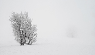 Зимовий пейзаж