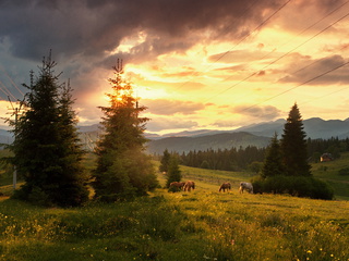 на заході дня