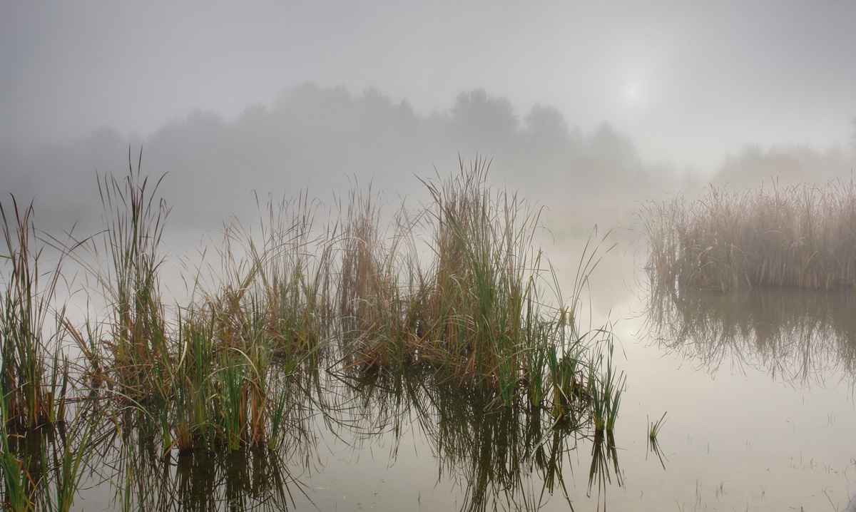 ранок на річці Бовтишка