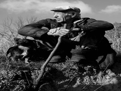 два товариша