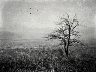 залишаюсь на самоті