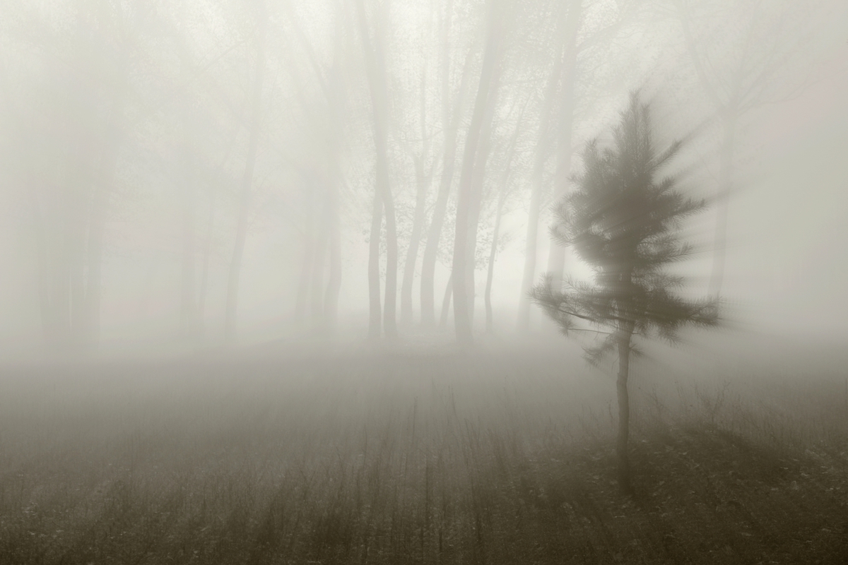 прикосновение