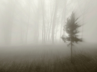 прикосновение