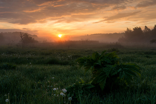 Весняний туман