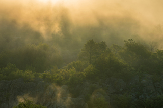 Танець світла