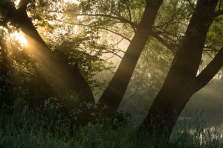 Шукаючи світло