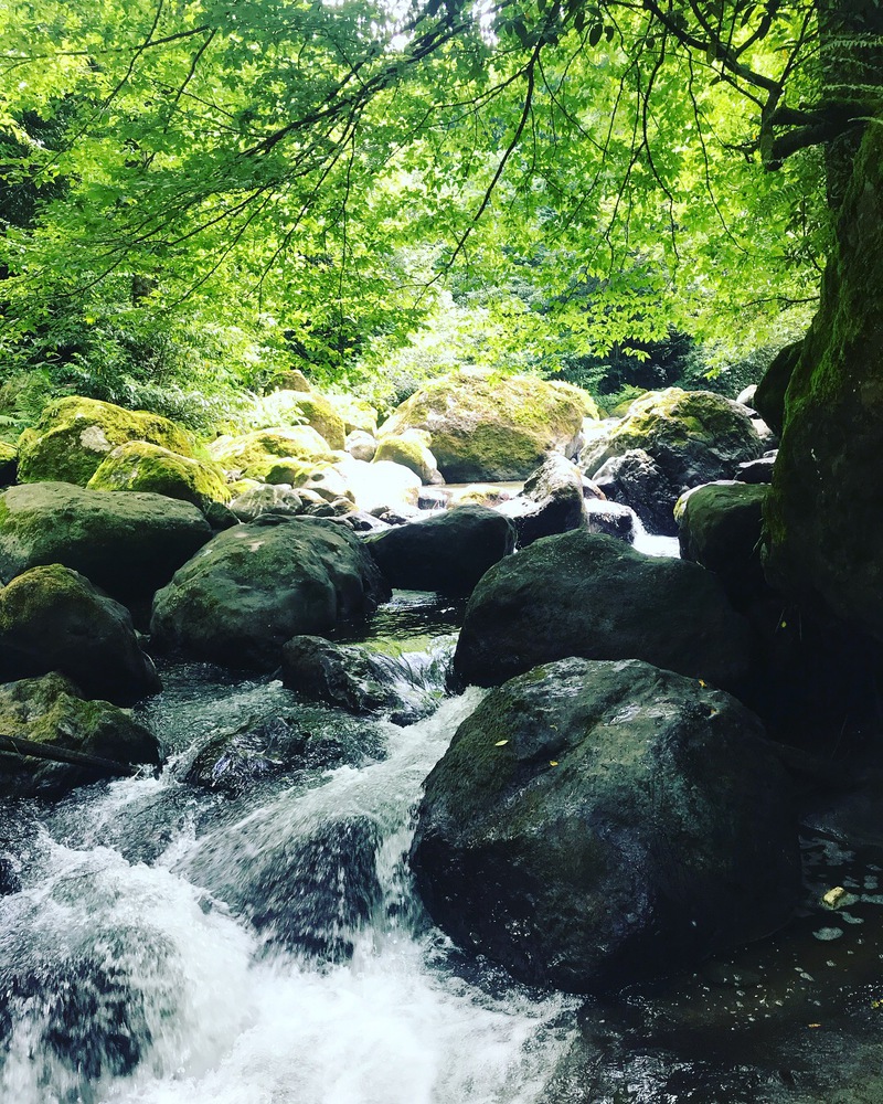 Стихія води