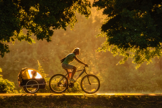 Активність
