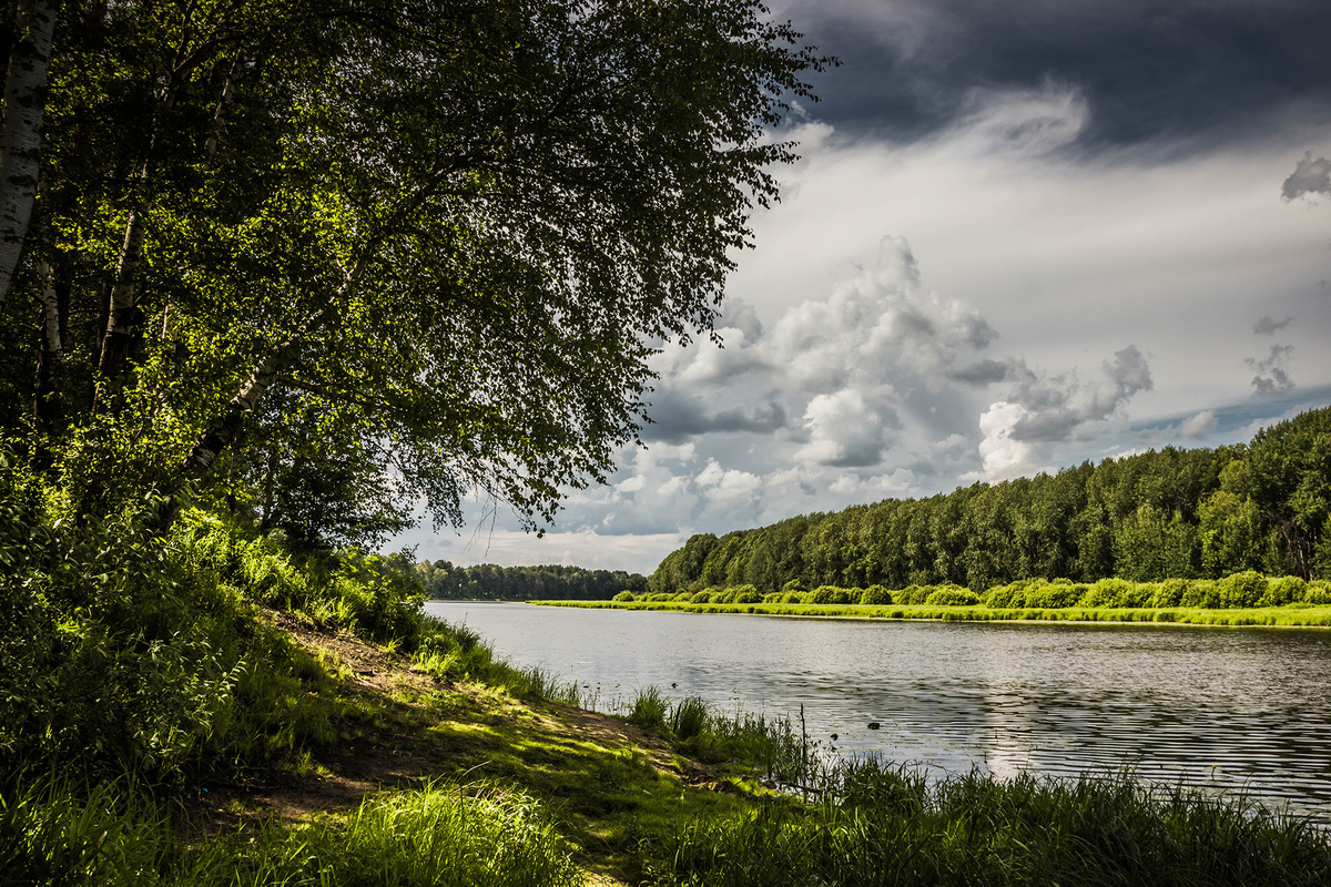 Родные просторы