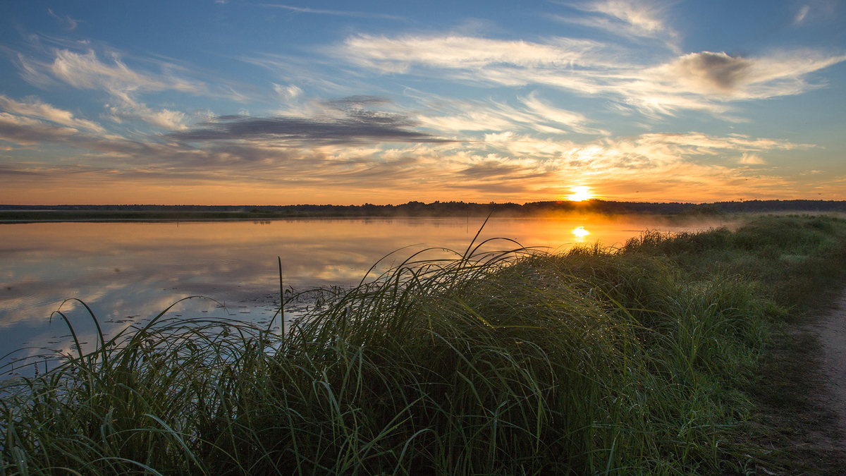 Тихая моя родина
