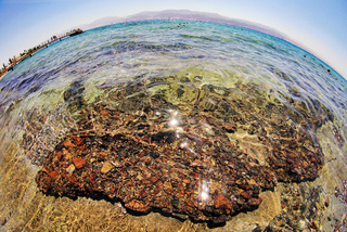 Глобус Эйлата